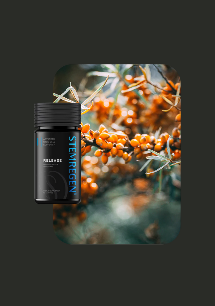Stem Cell Science Meets Longevity: Introducing STEMREGEN, A New Era in Regenerative Health